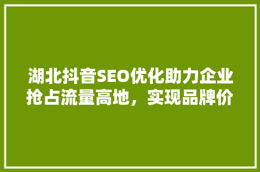 湖北抖音SEO优化助力企业抢占流量高地，实现品牌价值飞跃
