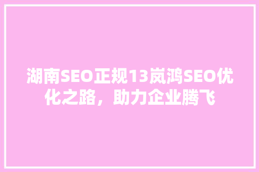 湖南SEO正规13岚鸿SEO优化之路，助力企业腾飞