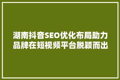 湖南抖音SEO优化布局助力品牌在短视频平台脱颖而出