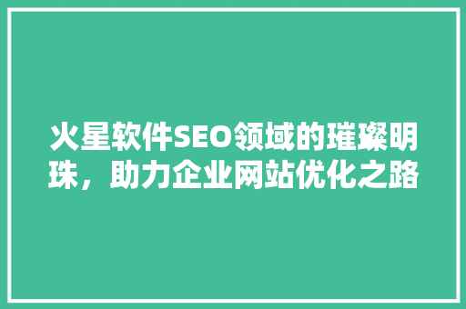 火星软件SEO领域的璀璨明珠，助力企业网站优化之路