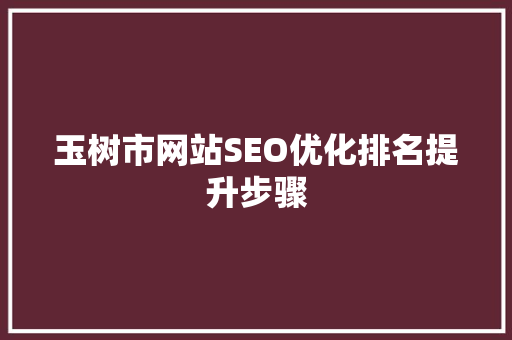 玉树市网站SEO优化排名提升步骤
