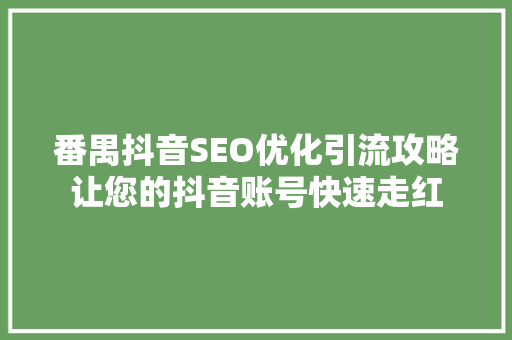 番禺抖音SEO优化引流攻略让您的抖音账号快速走红