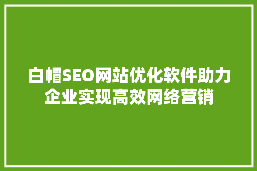 白帽SEO网站优化软件助力企业实现高效网络营销