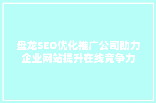 盘龙SEO优化推广公司助力企业网站提升在线竞争力