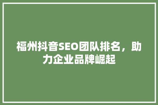福州抖音SEO团队排名，助力企业品牌崛起