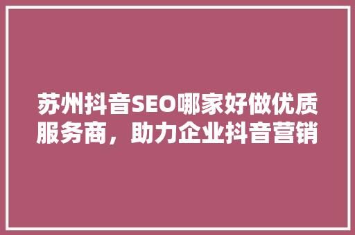 苏州抖音SEO哪家好做优质服务商，助力企业抖音营销