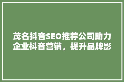 茂名抖音SEO推荐公司助力企业抖音营销，提升品牌影响力