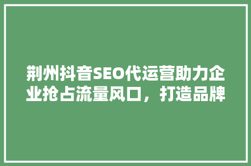 荆州抖音SEO代运营助力企业抢占流量风口，打造品牌新高度