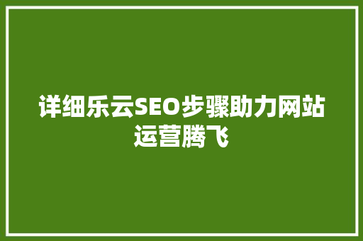 详细乐云SEO步骤助力网站运营腾飞