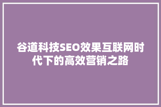 谷道科技SEO效果互联网时代下的高效营销之路