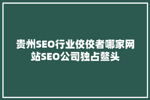 贵州SEO行业佼佼者哪家网站SEO公司独占鳌头