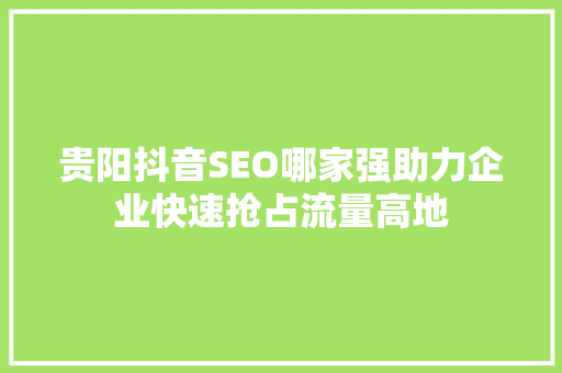 贵阳抖音SEO哪家强助力企业快速抢占流量高地