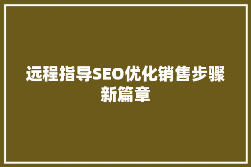 远程指导SEO优化销售步骤新篇章