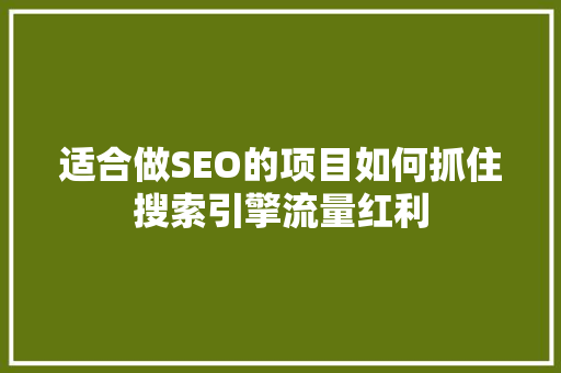 适合做SEO的项目如何抓住搜索引擎流量红利