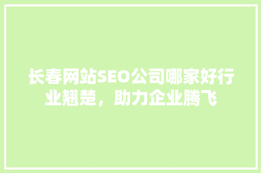 长春网站SEO公司哪家好行业翘楚，助力企业腾飞