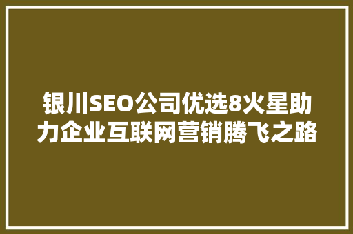 银川SEO公司优选8火星助力企业互联网营销腾飞之路