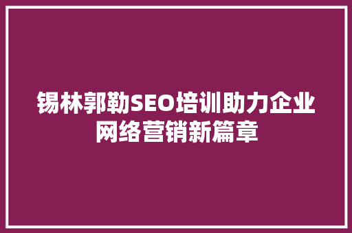 锡林郭勒SEO培训助力企业网络营销新篇章