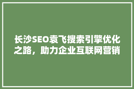 长沙SEO袁飞搜索引擎优化之路，助力企业互联网营销腾飞