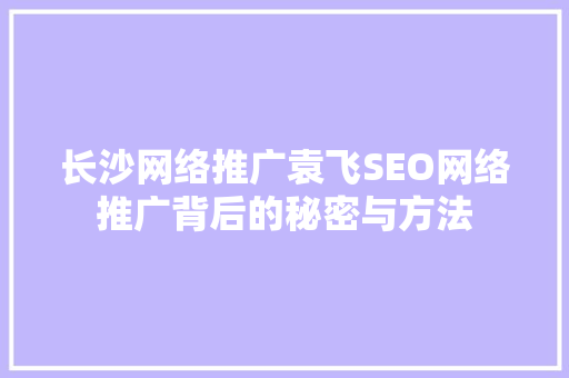 长沙网络推广袁飞SEO网络推广背后的秘密与方法