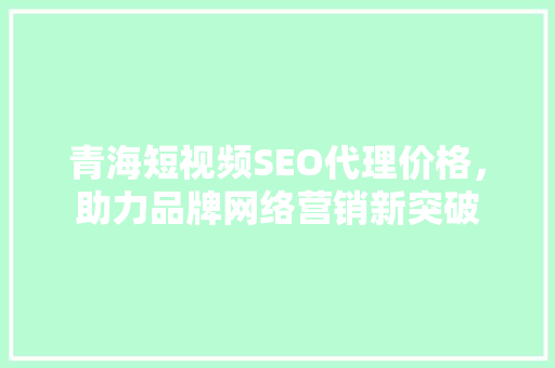 青海短视频SEO代理价格，助力品牌网络营销新突破