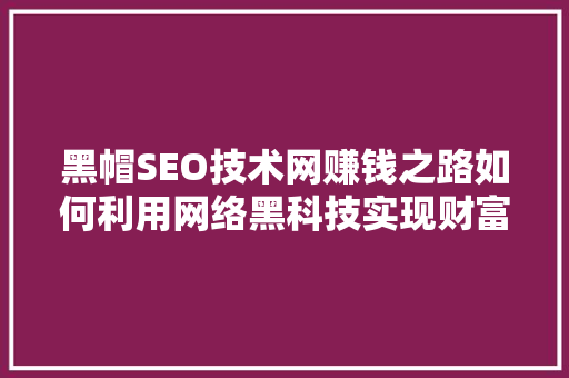 黑帽SEO技术网赚钱之路如何利用网络黑科技实现财富增长