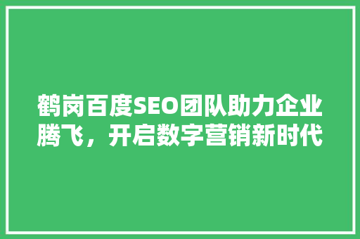 鹤岗百度SEO团队助力企业腾飞，开启数字营销新时代