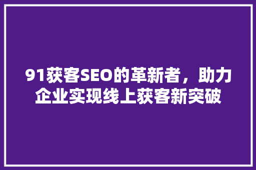 91获客SEO的革新者，助力企业实现线上获客新突破