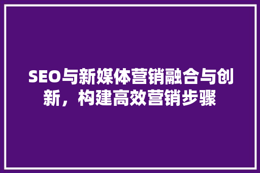 SEO与新媒体营销融合与创新，构建高效营销步骤