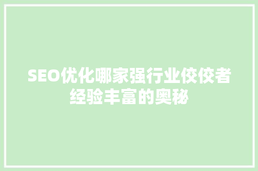 SEO优化哪家强行业佼佼者经验丰富的奥秘