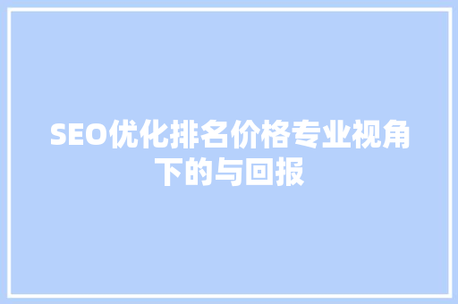 SEO优化排名价格专业视角下的与回报