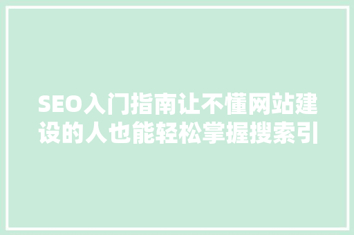 SEO入门指南让不懂网站建设的人也能轻松掌握搜索引擎优化