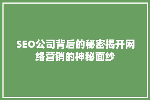 SEO公司背后的秘密揭开网络营销的神秘面纱