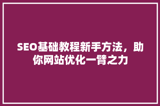 SEO基础教程新手方法，助你网站优化一臂之力