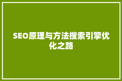 SEO原理与方法搜索引擎优化之路