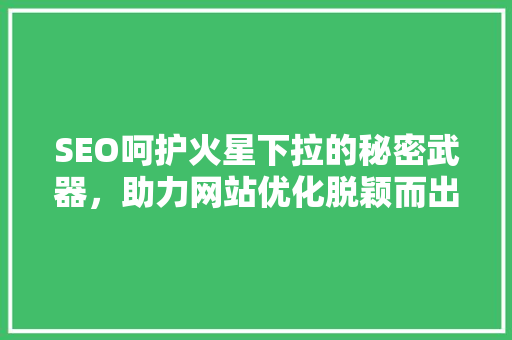 SEO呵护火星下拉的秘密武器，助力网站优化脱颖而出