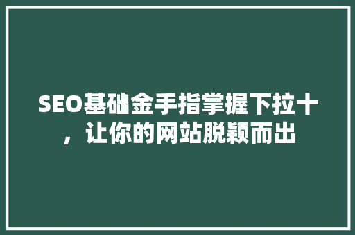 SEO基础金手指掌握下拉十，让你的网站脱颖而出