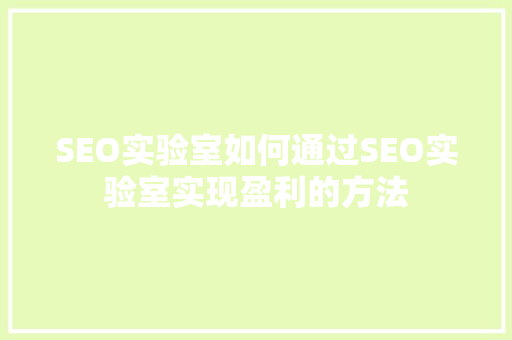 SEO实验室如何通过SEO实验室实现盈利的方法