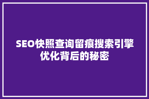 SEO快照查询留痕搜索引擎优化背后的秘密