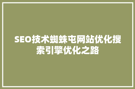 SEO技术蜘蛛屯网站优化搜索引擎优化之路
