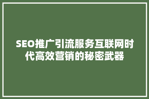 SEO推广引流服务互联网时代高效营销的秘密武器