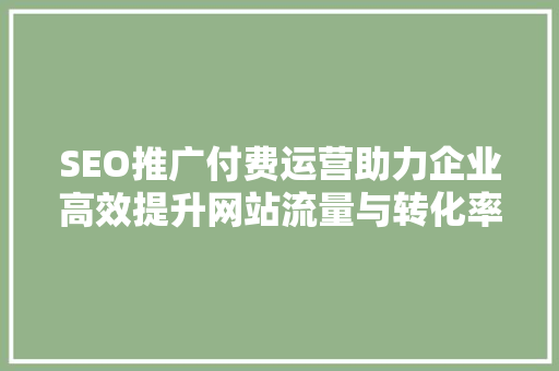 SEO推广付费运营助力企业高效提升网站流量与转化率