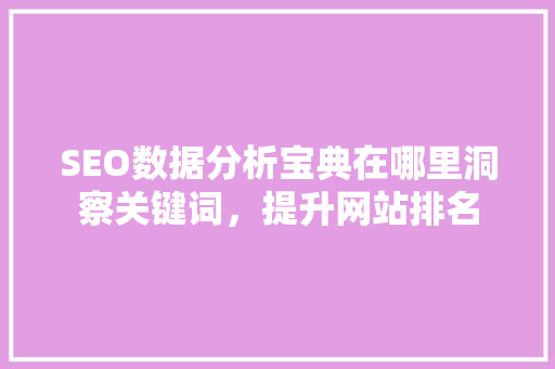 SEO数据分析宝典在哪里洞察关键词，提升网站排名