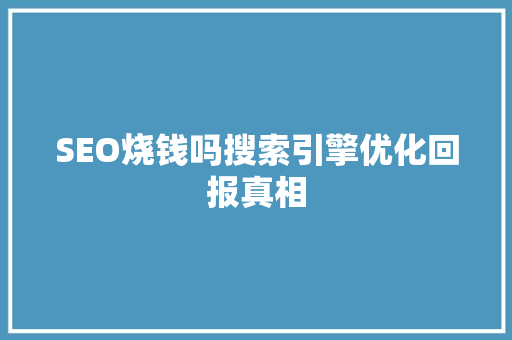 SEO烧钱吗搜索引擎优化回报真相