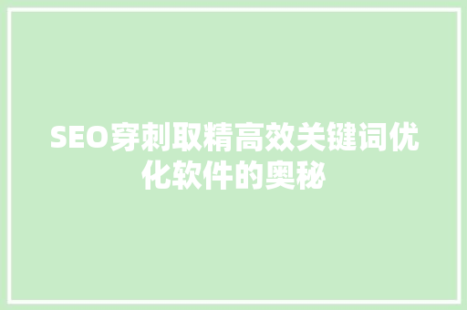 SEO穿刺取精高效关键词优化软件的奥秘