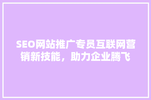 SEO网站推广专员互联网营销新技能，助力企业腾飞