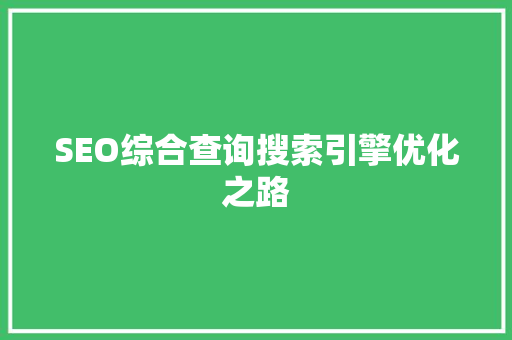 SEO综合查询搜索引擎优化之路