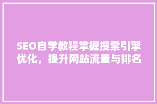 SEO自学教程掌握搜索引擎优化，提升网站流量与排名