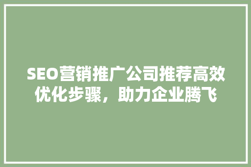 SEO营销推广公司推荐高效优化步骤，助力企业腾飞