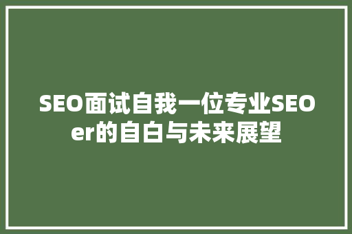 SEO面试自我一位专业SEOer的自白与未来展望