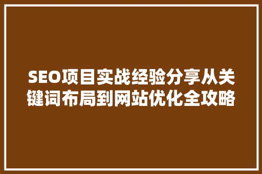 SEO项目实战经验分享从关键词布局到网站优化全攻略